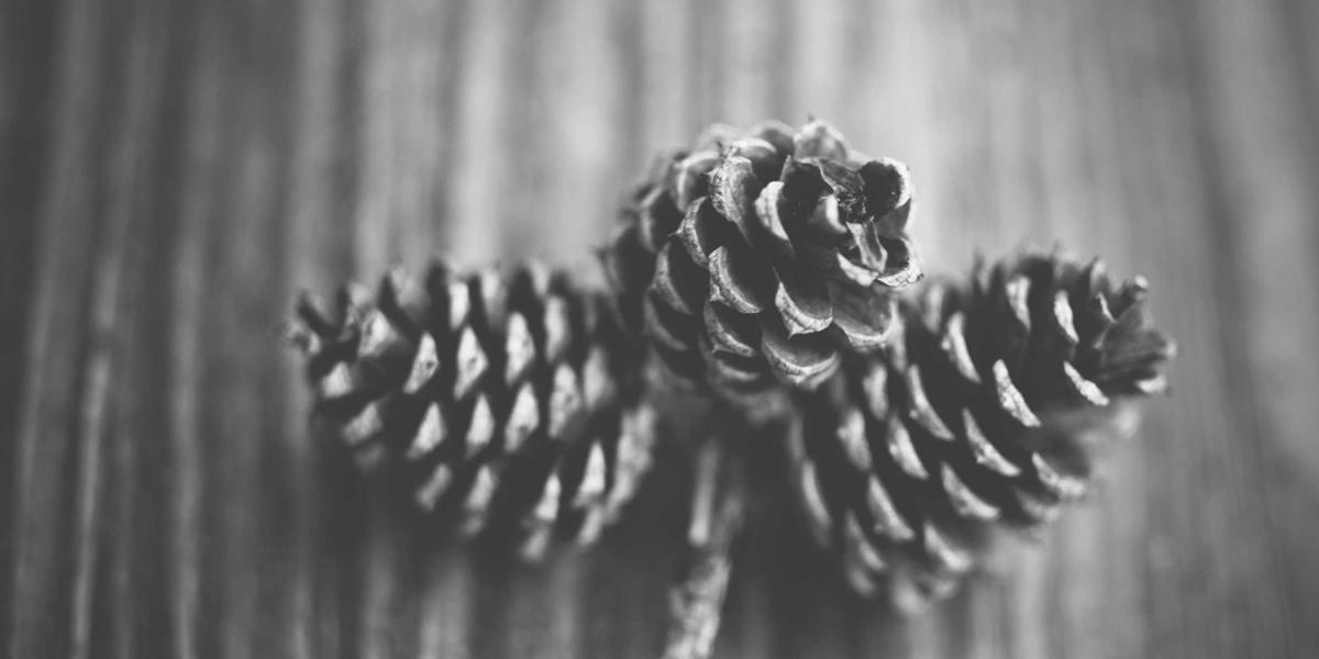 The Best Nonfiction Book of the 21st Century